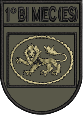 EB08_014 - 1º BI MEC ES